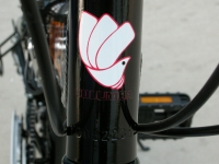 Columba folding bike front logo